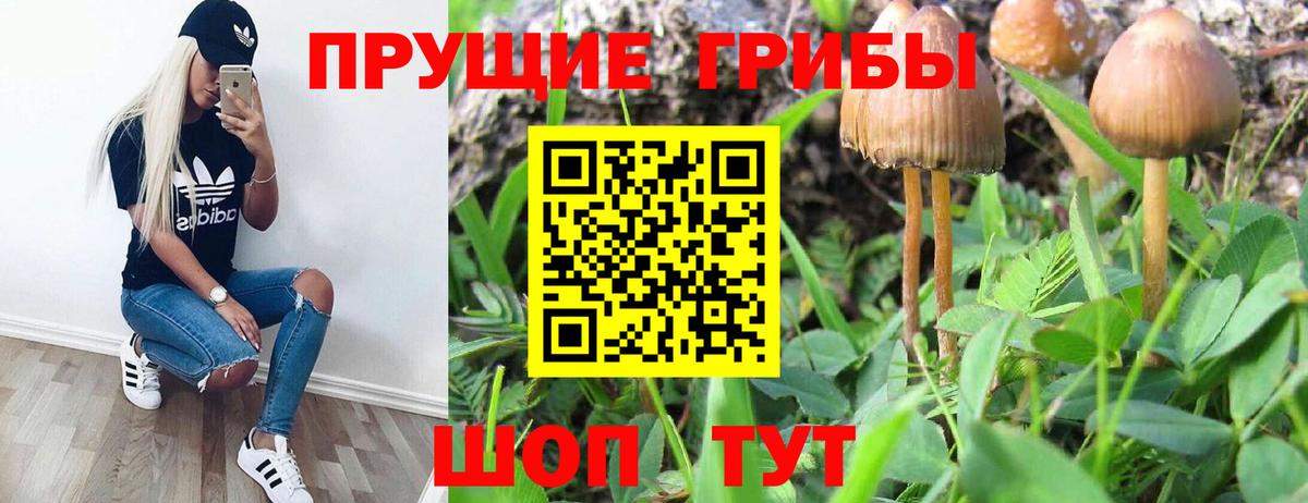 Галлюциногенные грибы MAGIC MUSHROOMS  Вход с VPN  Кумертау 