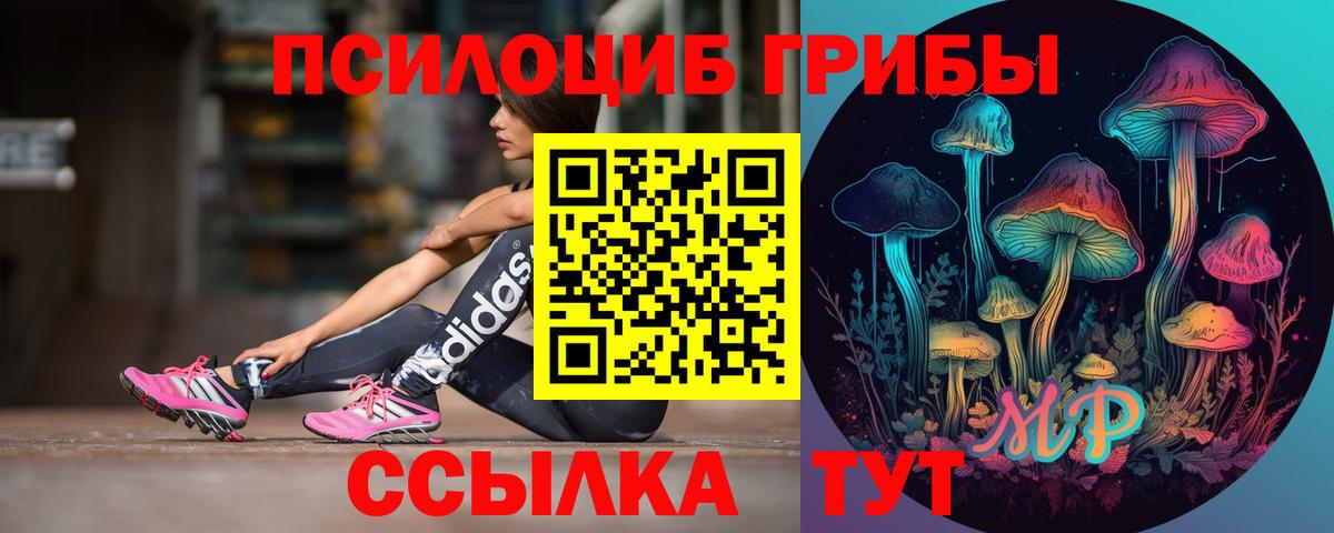 Псилоцибиновые грибы прущие грибы Кумертау